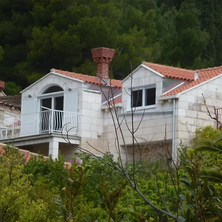 Apartment Fede Mlini