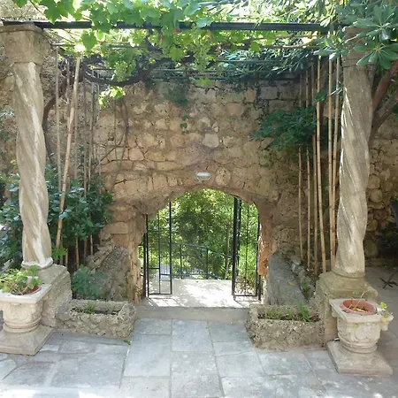 Fede Mlini